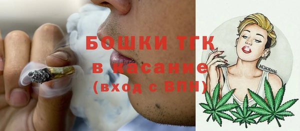 индика Абинск