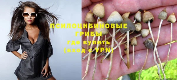 винт Алзамай