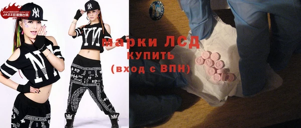 индика Абинск